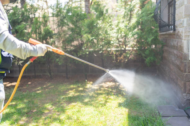 Best Fumigation Services  in Aurora, IN